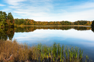 Fototapeta na wymiar Tranquil scene with a lake with forested shores on a clear autumn day. Autumn colours and reflection in water.
