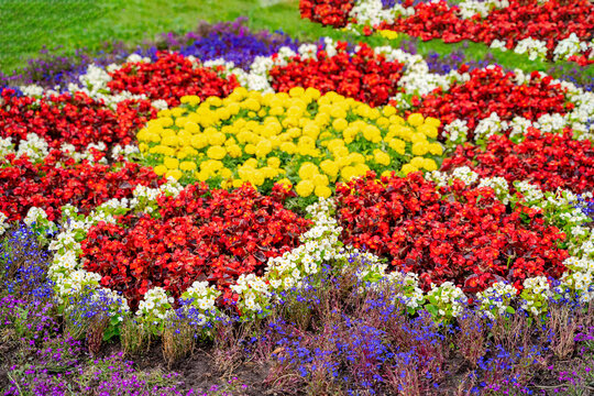 Flowerbed with yellow and red flowers. Landscape design. Colorful flowers.