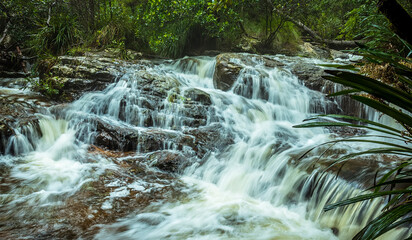 A long exposure dreamy stream in Springbrook National Park, Queensland, Australia