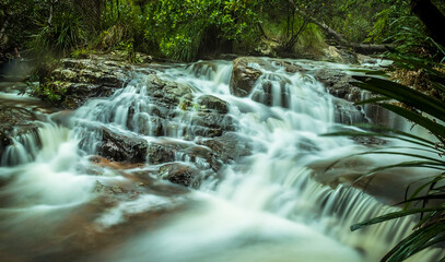 A dreamy stream in Springbrook National Park, Queensland, Australia shot with a long exposure