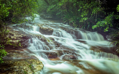 A long exposure shot of rapids in Springbrook National Park, Queensland, Australia