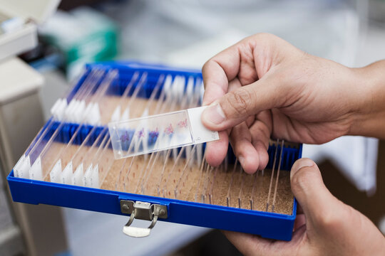 Cropped image of scientist holding microscope slide over box at laboratory