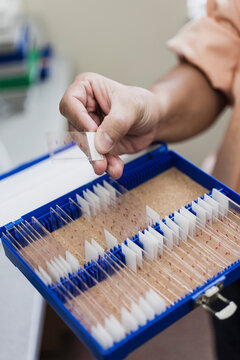 Cropped image of scientist holding sample on microscope slide over container at laboratory