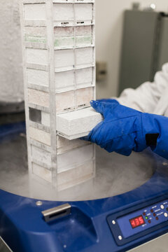 Cropped image of scientist with frozen medical storage compartment at laboratory