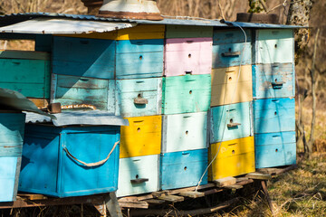 Colorful wooden beehive boxes in the farmland