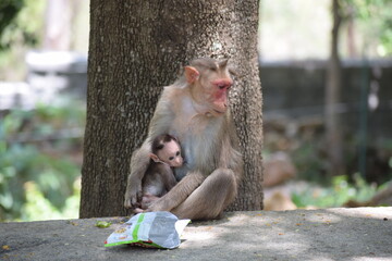 The care of a mother. 