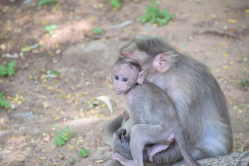 The care of a mother. 