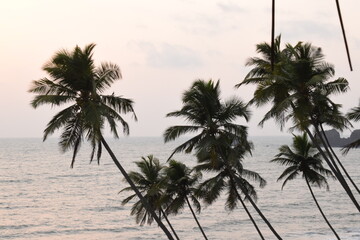 Beach evenings. 