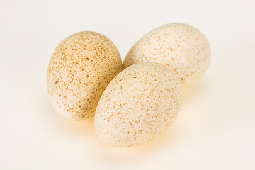 Three big raw turkey egg