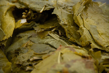 Marinated green grape leaves in the stock