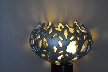 Light from the lamp. 