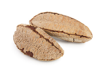 Brasil nuts in nutshell isolated on white background with clipping path and full depth of field.