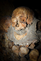 View of a human skull in a crypt