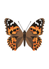 butterfly on white background