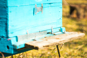 A blue wooden beehive box with honey bees around