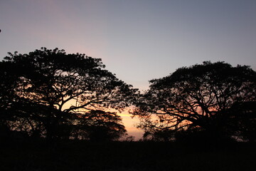 crepúsculo
