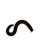 Millipedes