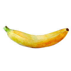 Watercolor illustration of ripe banana