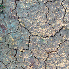 detail of cracked loam