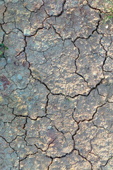 detail of cracked loam