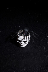 scary spider coming out a skull for halloween