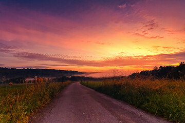 Sonnenuntergang mit Nebel über der Wiese	