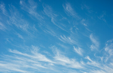 feather clouds in the blue sky
