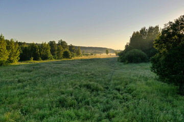 Obraz premium panoramic view of green meadows in the morning haze at sunrise shot from a drone at dawn