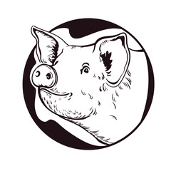Pig. Piglet farm premium quality isolated on white background. Logo. Element design packaging. Monochrome Illustration. Vector. Sketch hand drawn. Graphics. Black and white. Sketch.