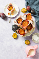 Fototapeta na wymiar Tasty plum cake with pieces of fruit and powdered sugar on a light background