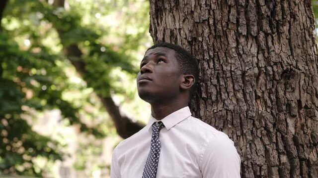 pensive  black businessman leaning against a tree at park looking up