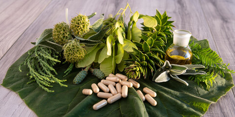 Plant-based preparation for self-healing