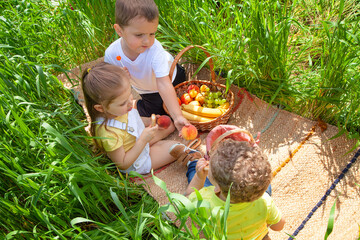 Three children of 1-and 3 years old sit on a picnic in a field of young wheat on a Sunny day with baskets of fruit and bagels. Friends since childhood. Happy child.