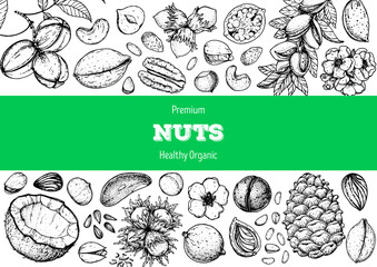 Nuts collection hand drawn sketch. Vector illustration. Nuts cocktail. Organic healthy food. Great for nuts packaging design. Engraved style. Black and white color