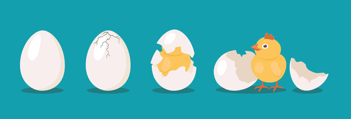 Hatching bird process set. Baby chicken birth from egg. Flat vector illustrations can be used for farming, poultry, Easter concept