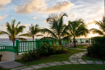 Fototapeta na wymiar Paradise destination,palm tree,tropical,beach