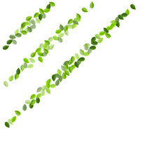 Forest Leaf Swirl Vector Concept. Transparent 