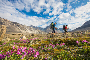 Two backpackers hiking through lush alpine meadow, Akshayak P