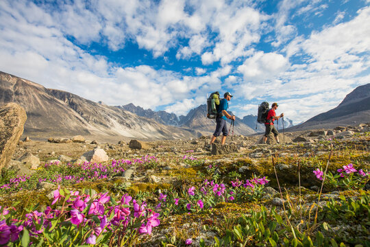 Two backpackers hiking through lush alpine meadow, Akshayak P