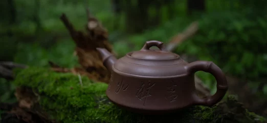 Foto op Aluminium Close up of ceramic Chinese kettle on moss in summer forest  © Dmytro Hai
