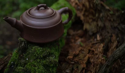 Foto op Aluminium Clay teapot on wooden log with moss in forest  © Dmytro Hai