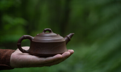 Man holding clay tea pot on hand in forest outdoors