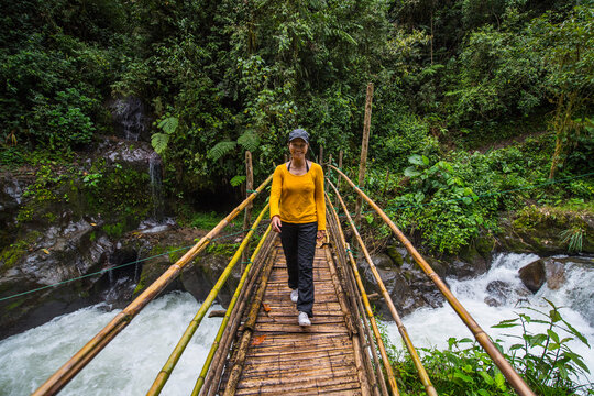 Woman hiking over a bamboo bridge at the rainforest in Mindo, Ecuador