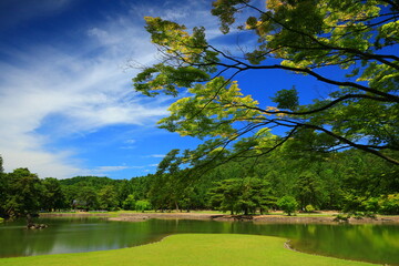 世界遺産　初夏の毛越寺