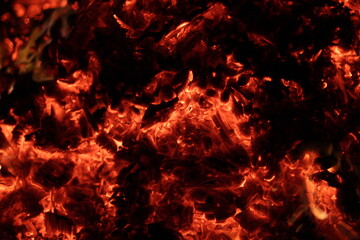 Fire. A flame on a black background. A background for designers. Colors of hell. Abstract fiery texture.