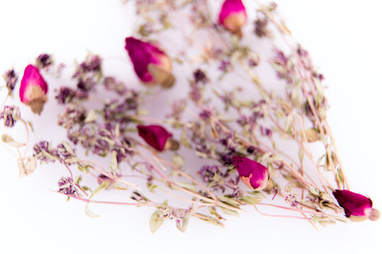 Herbarium composition: thyme and rose 4