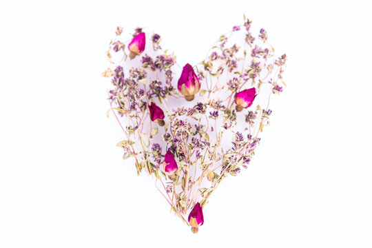 Herbarium composition: thyme and rose 3