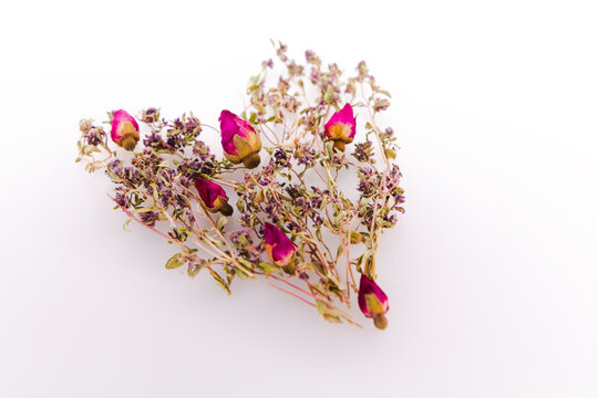Herbarium composition: thyme and rose 2