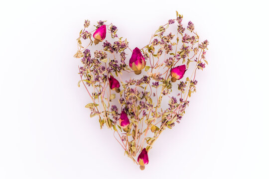 Herbarium composition: thyme and rose 1