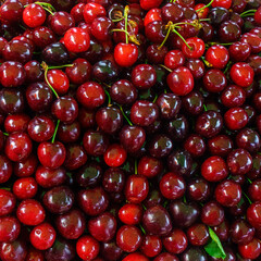 Background with red sweet cherries. Bright vibrant vivid colors. Vitamins superfoods healthy diet. Harvest concept. Vegetarian food. Close-up view.